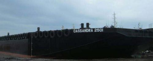 CASSANDRA 2501